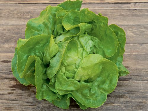 Blattgemüse und Salat